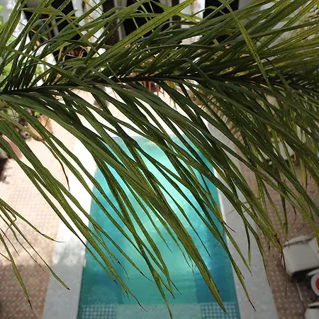 Riad Assouel-2